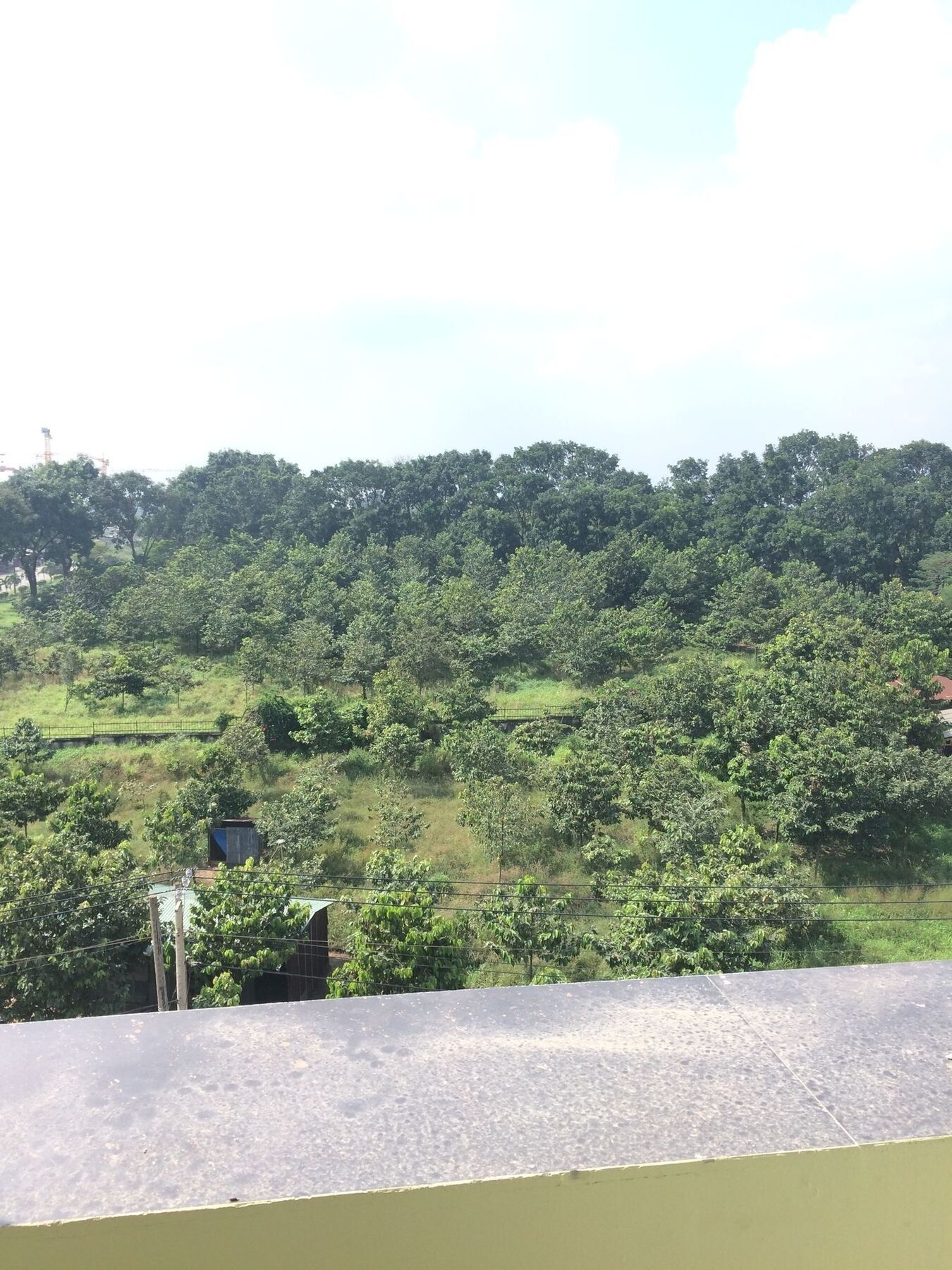Hotel Hoang Quan